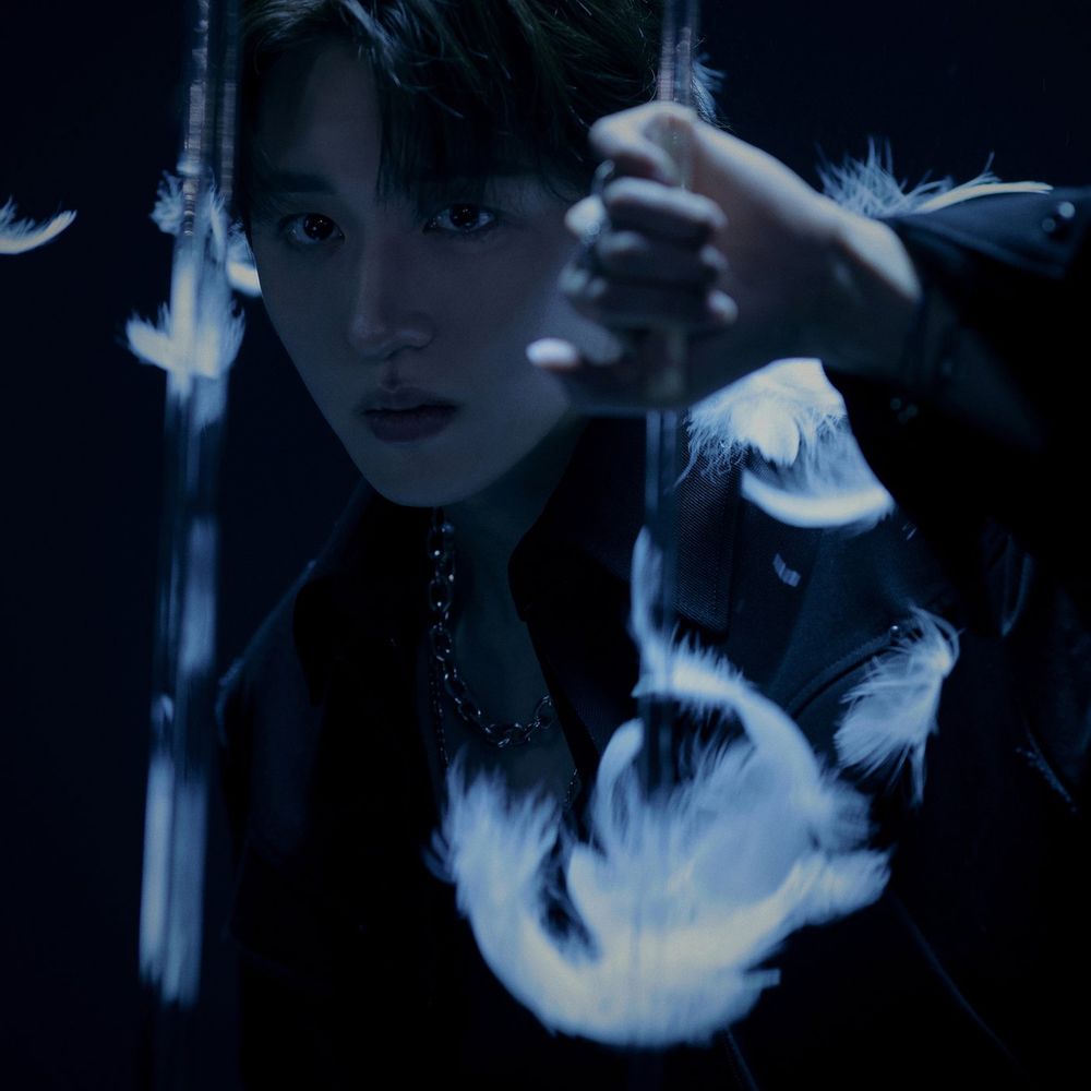 Chani
