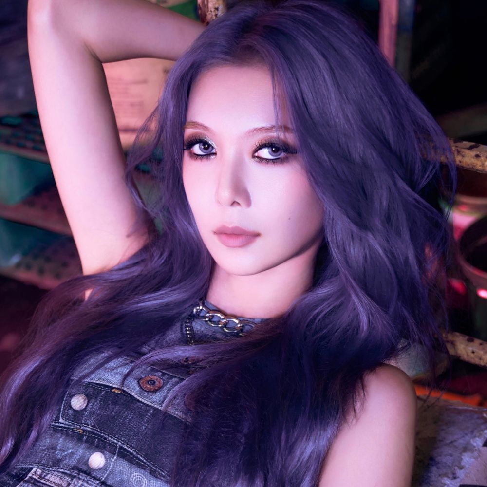 Dami