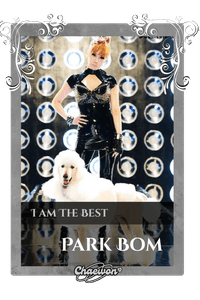 Park Bom