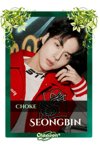 Seongbin
