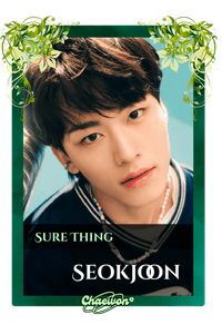 Seokjoon