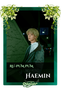 Haemin