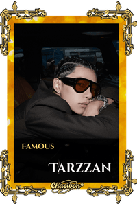 Tarzzan