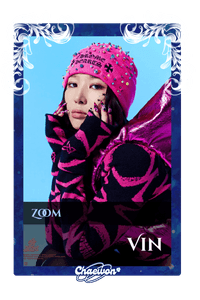 Vin