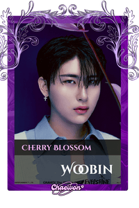 Woobin