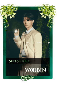 Woobin