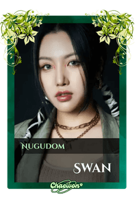 Swan