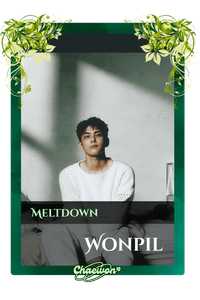 Wonpil
