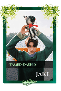 Jake