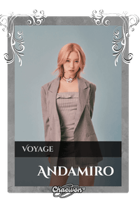 Andamiro