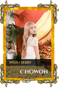 Chowon