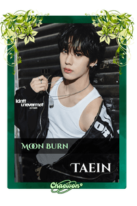 Taein