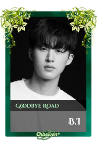 B.I