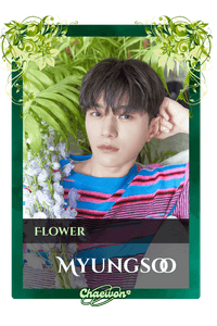 Myungsoo