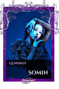 Somin