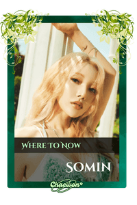 Somin