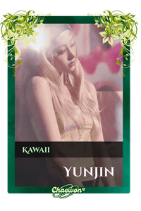 Yunjin