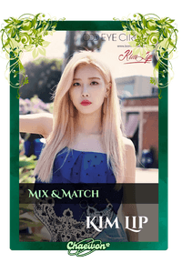 Kim Lip