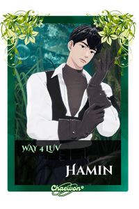 Hamin