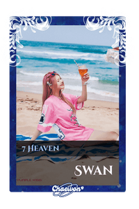 Swan