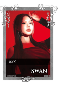 Swan