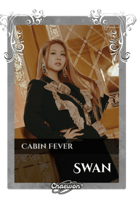 Swan