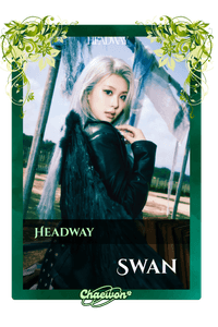 Swan