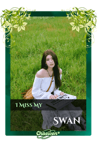 Swan