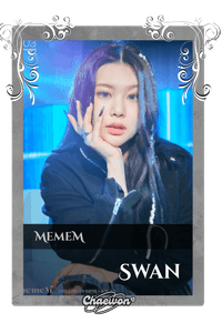 Swan