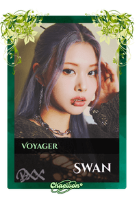 Swan