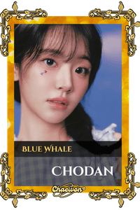 Chodan