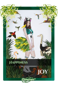 Joy