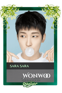 Wonwoo