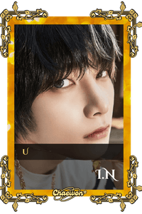 I.N