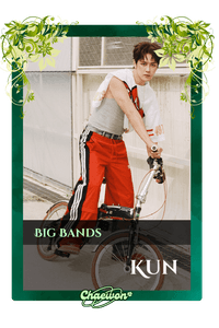 Kun