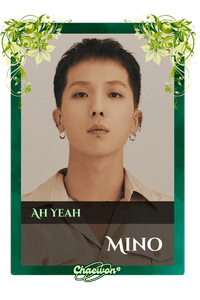 Mino