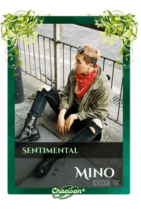 Mino