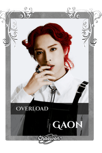 Gaon