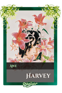 Harvey