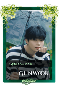 Gunwook