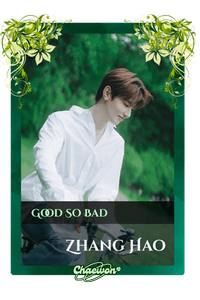 Zhang Hao