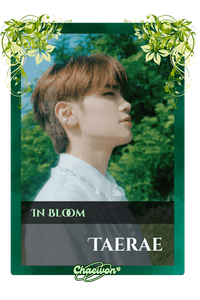 Taerae