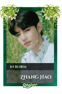 Zhang Hao