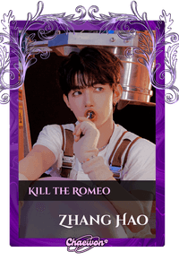 Zhang Hao