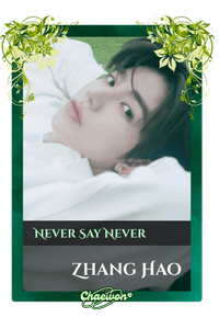 Zhang Hao