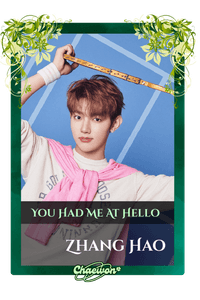 Zhang Hao