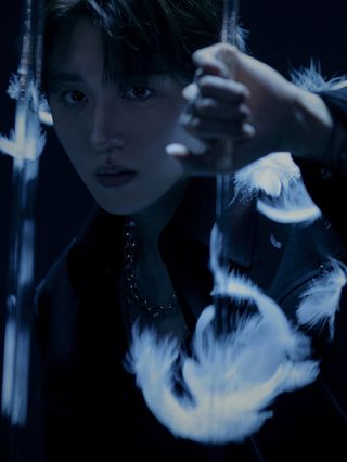 Chani
