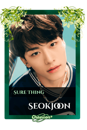 Seokjoon