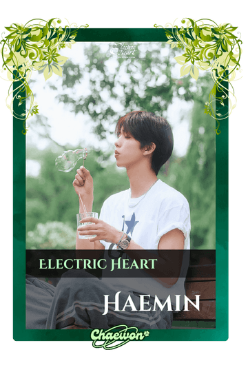 Haemin