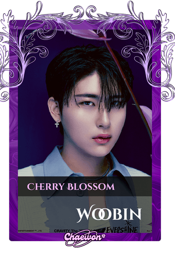 Woobin
